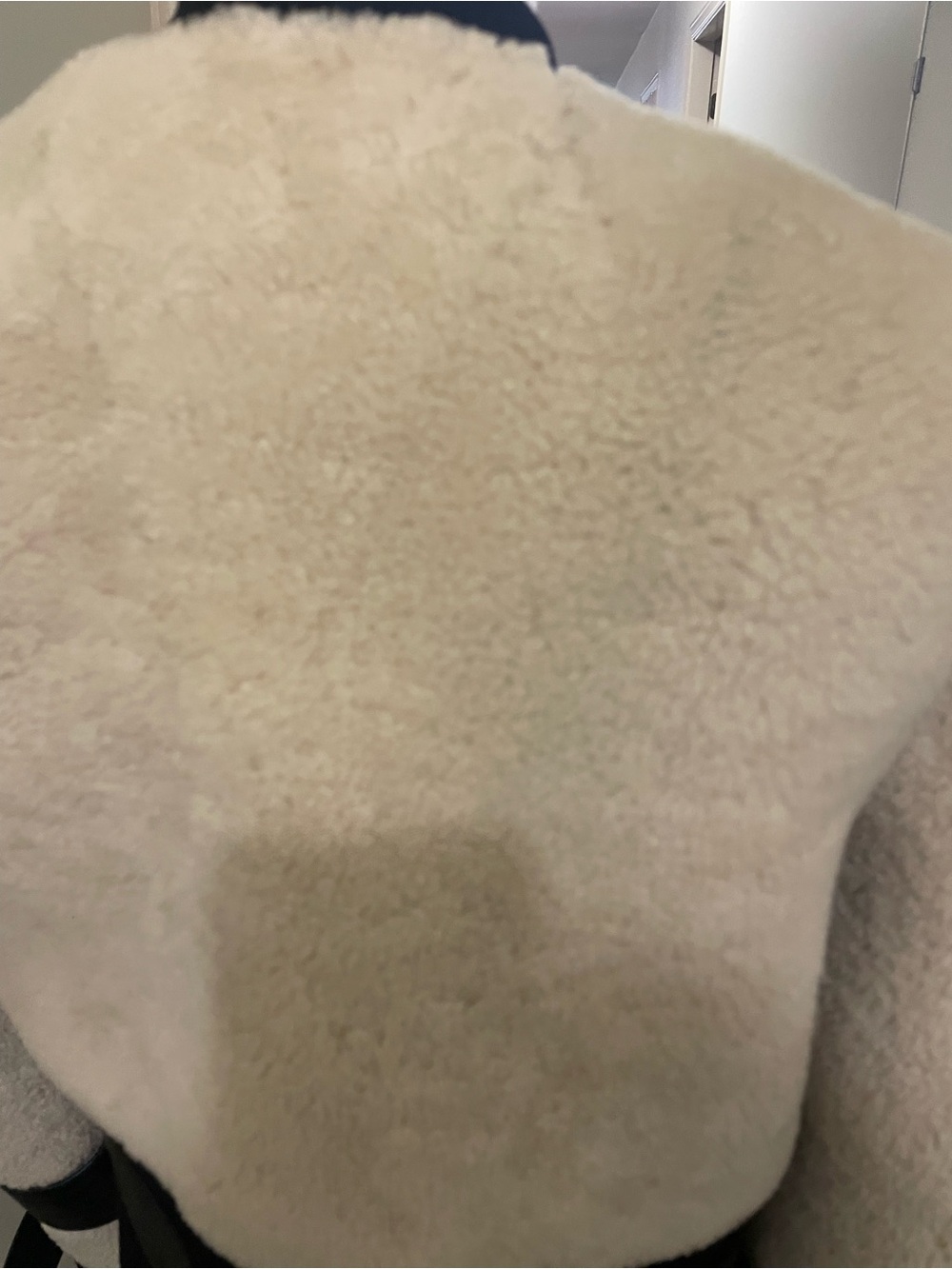 Gorgeous A.L.C. Cream and Black Faux Shearling Bomber Jacket - Picture 10 of 14